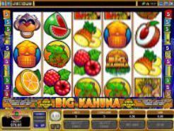 Big Kahuna Slots