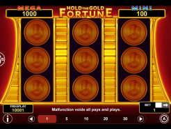 Hold The Gold Fortune Slots