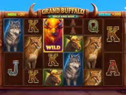 Grand Buffalo Hold and Win Slots