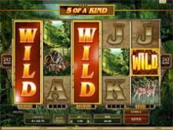 Untamed Bengal Tiger