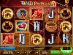 Wild Princess Slots