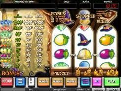 La Bruja Fortuna Slots