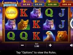 Buffalo Power: Hold and Win Slots