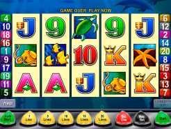Dolphin Treasure Slots