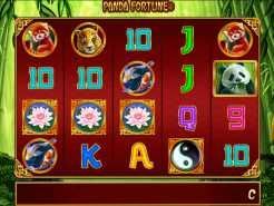 Panda Fortune