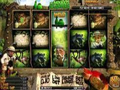 Dr. Magoo's Adventures Slots